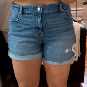 LOFT Classic Blue Jean Shorts